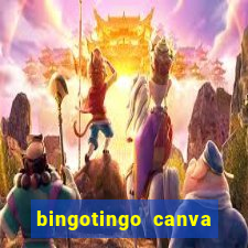 bingotingo canva pro gratis